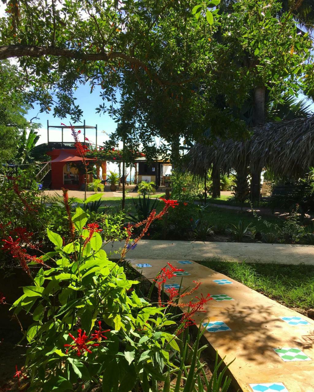 Katamah Beachfront Guesthouse Treasure Beach Esterno foto