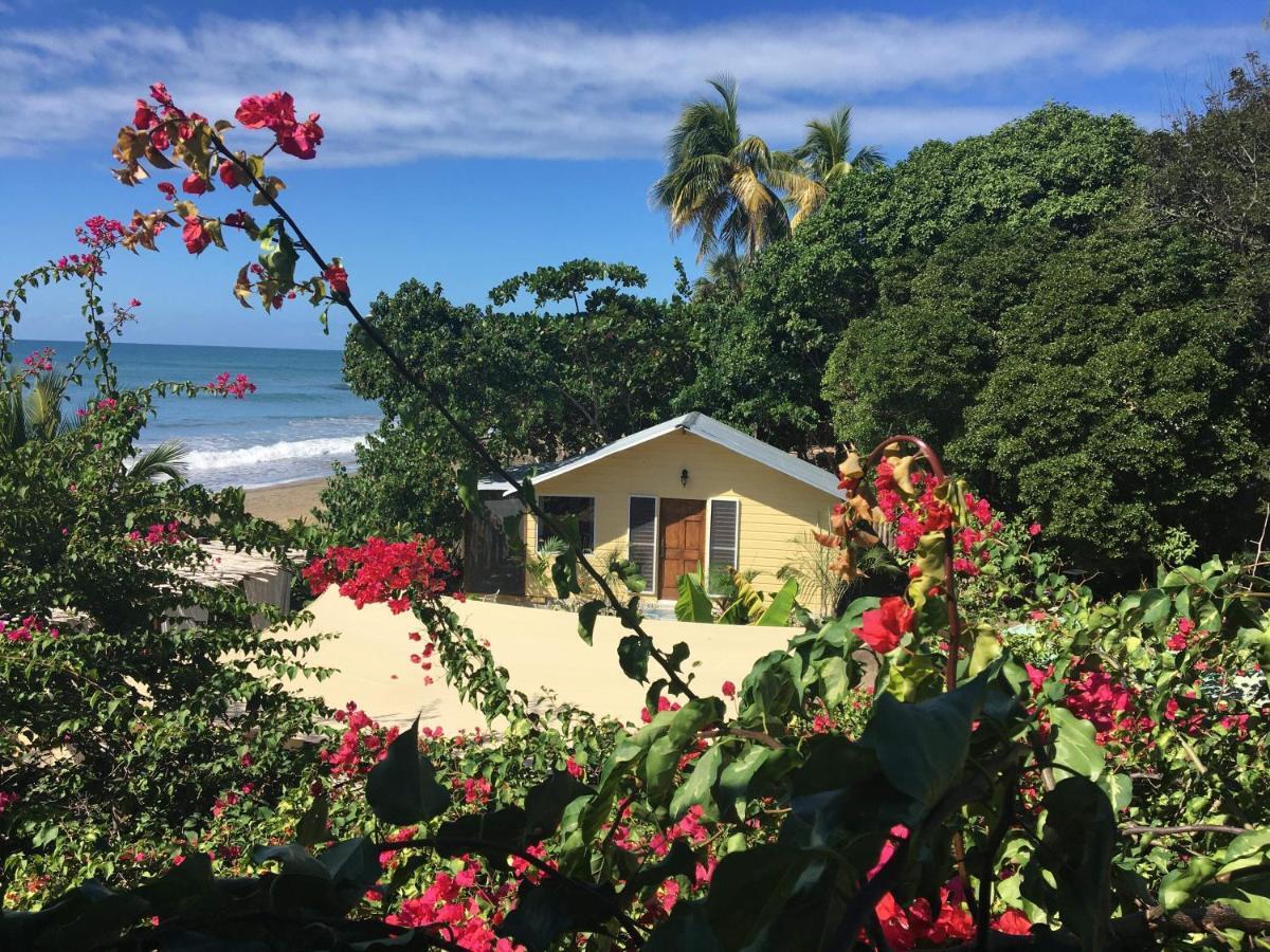 Katamah Beachfront Guesthouse Treasure Beach Esterno foto